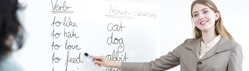 English Language Arts Image